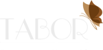 logo tabor